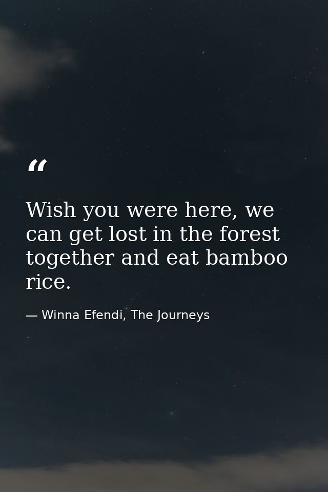 Wish you were here, we can get lost in the forest together and eat bamboo rice. — Winna Efendi, The Journeys