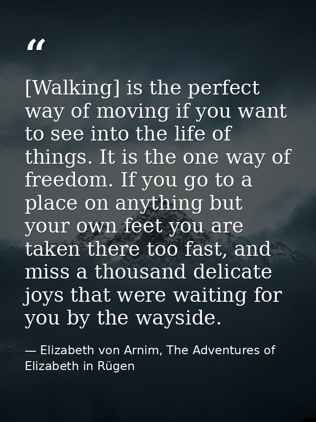 [Walking] is the perfect way of moving if you want to see into the life of things. It is the one way of freedom. If you  — Elizabeth von Arnim, The Adventures of Elizabeth in Rügen