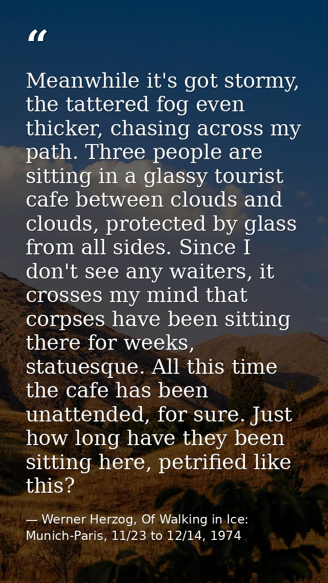 Meanwhile it's got stormy, the tattered fog even thicker, chasing across my path. Three people are sitting in a glassy t — Werner Herzog, Of Walking in Ice: Munich-Paris, 11/23 to 12/14, 1974