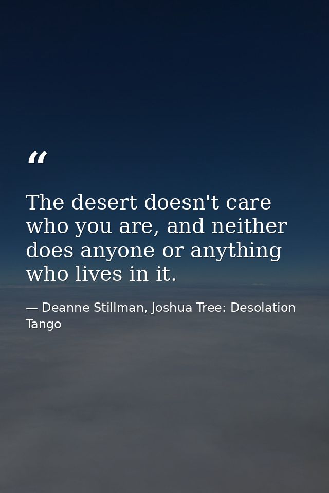 The desert doesn't care who you are, and neither does anyone or anything who lives in it. — Deanne Stillman, Joshua Tree: Desolation Tango