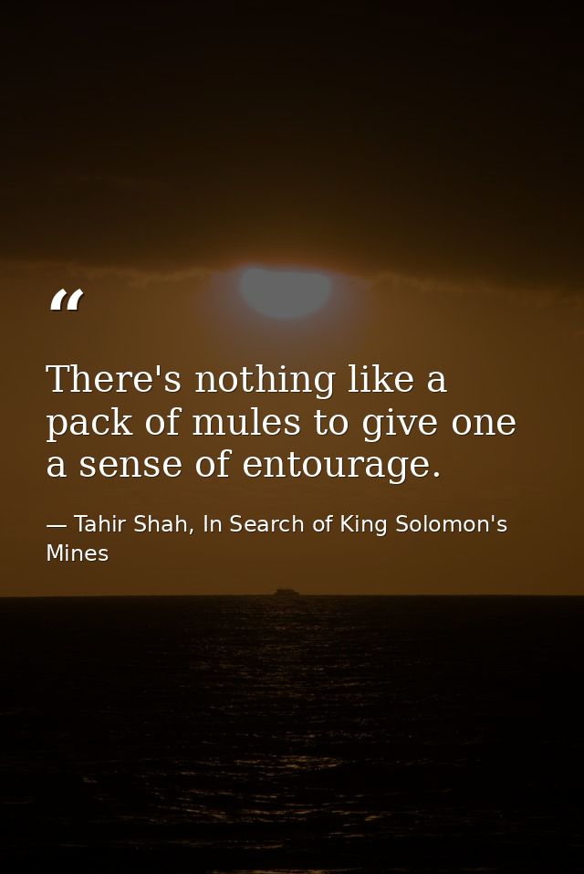 There's nothing like a pack of mules to give one a sense of entourage. — Tahir Shah, In Search of King Solomon's Mines