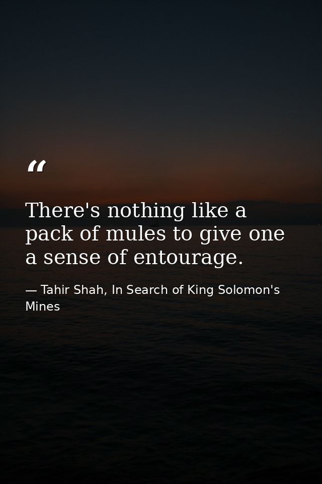 There's nothing like a pack of mules to give one a sense of entourage. — Tahir Shah, In Search of King Solomon's Mines