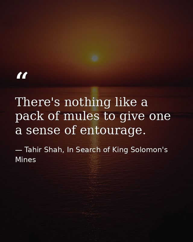 There's nothing like a pack of mules to give one a sense of entourage. — Tahir Shah, In Search of King Solomon's Mines