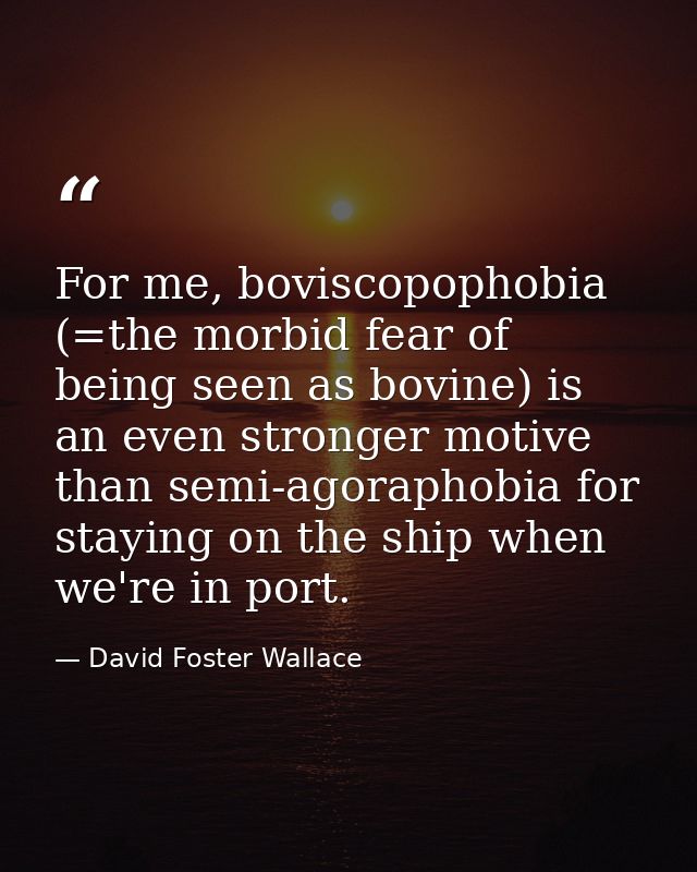 For me, boviscopophobia (=the morbid fear of being seen as bovine) is an even stronger motive than semi-agoraphobia for  — David Foster Wallace