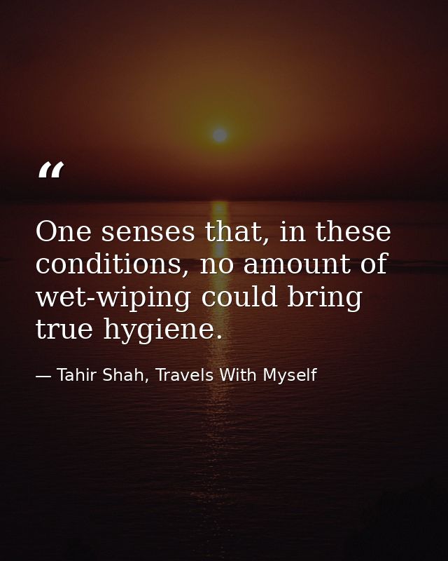 One senses that, in these conditions, no amount of wet-wiping could bring true hygiene. — Tahir Shah, Travels With Myself
