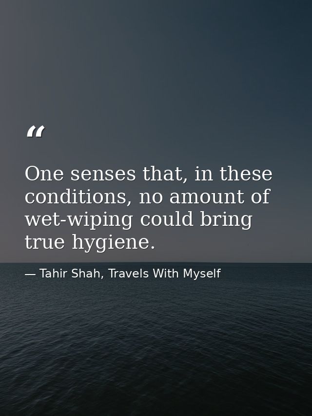 One senses that, in these conditions, no amount of wet-wiping could bring true hygiene. — Tahir Shah, Travels With Myself