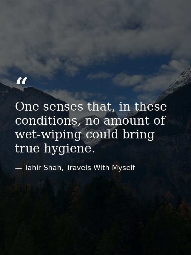 One senses that, in these conditions, no amount of wet-wiping could bring true hygiene. — Tahir Shah, Travels With Myself