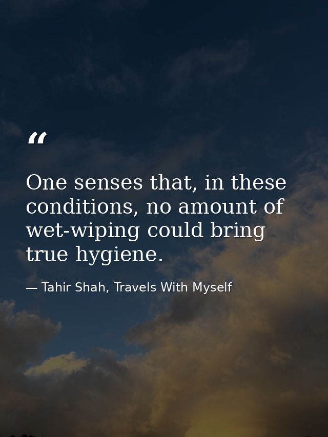 One senses that, in these conditions, no amount of wet-wiping could bring true hygiene. — Tahir Shah, Travels With Myself