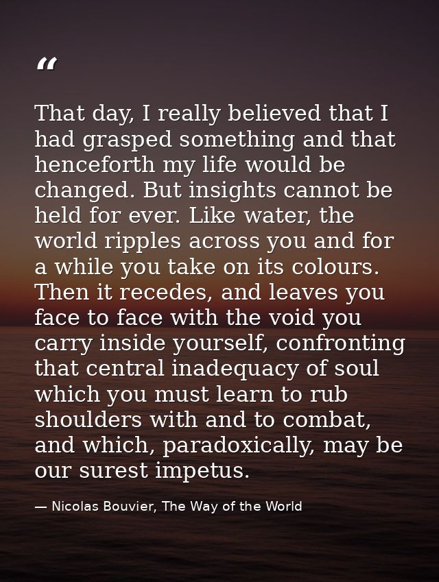 That day, I really believed that I had grasped something and that henceforth my life would be changed. But insights cann — Nicolas Bouvier, The Way of the World