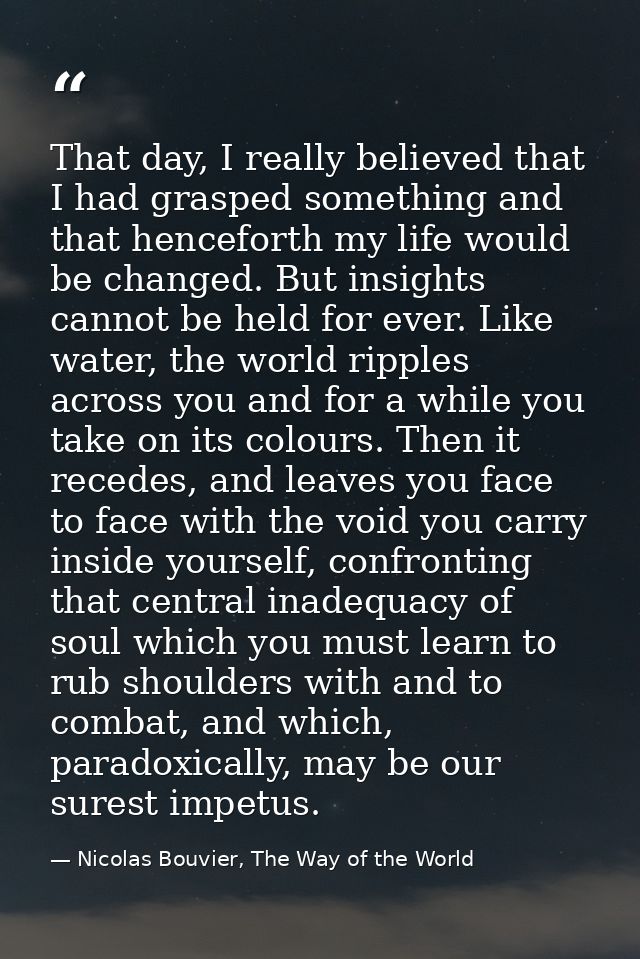 That day, I really believed that I had grasped something and that henceforth my life would be changed. But insights cann — Nicolas Bouvier, The Way of the World