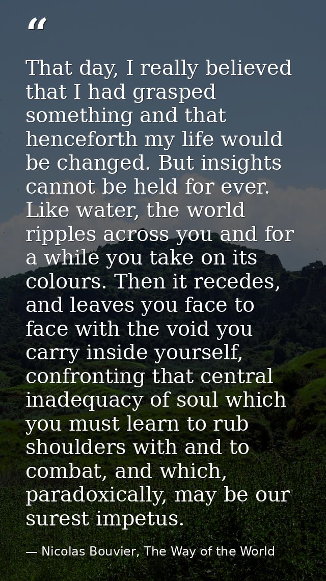 That day, I really believed that I had grasped something and that henceforth my life would be changed. But insights cann — Nicolas Bouvier, The Way of the World