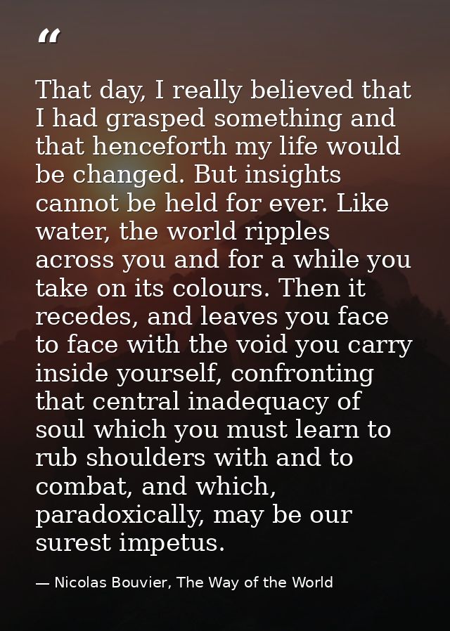 That day, I really believed that I had grasped something and that henceforth my life would be changed. But insights cann — Nicolas Bouvier, The Way of the World