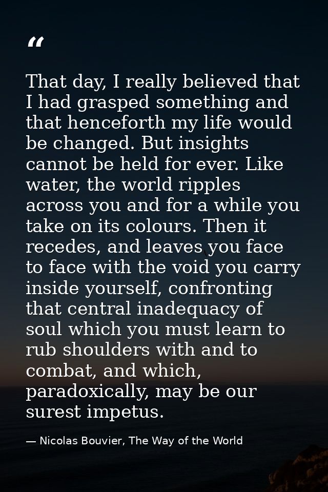 That day, I really believed that I had grasped something and that henceforth my life would be changed. But insights cann — Nicolas Bouvier, The Way of the World