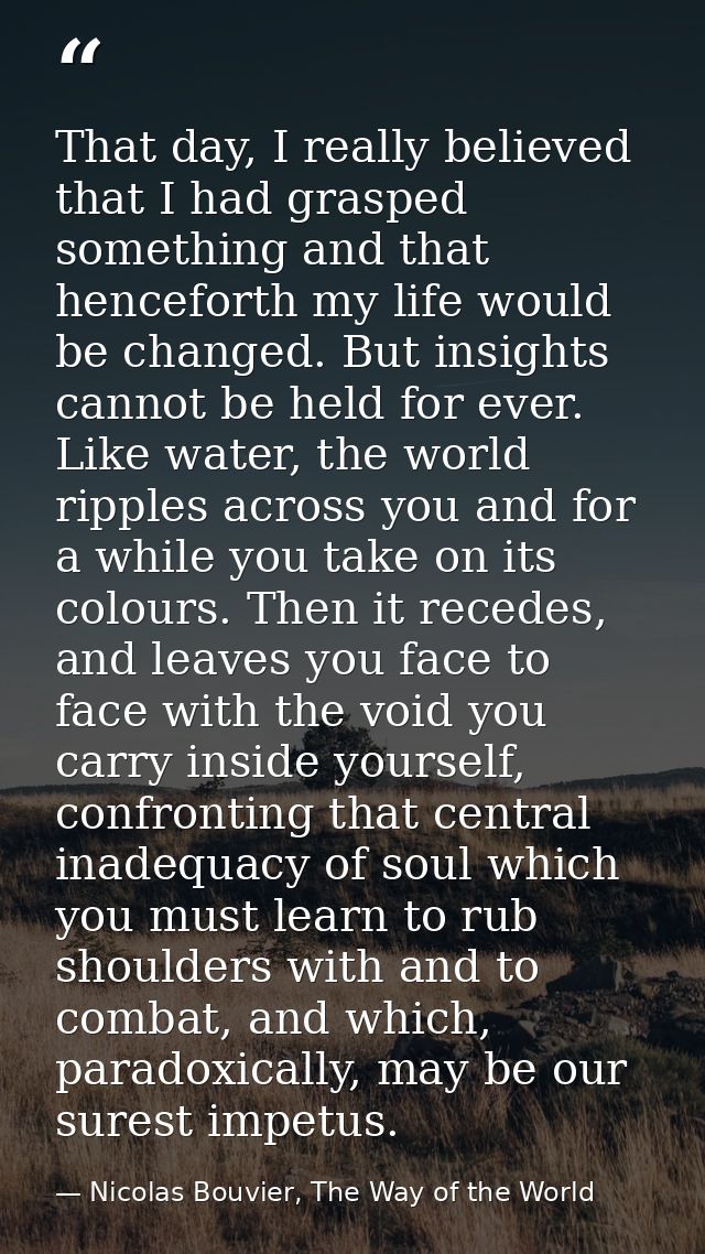 That day, I really believed that I had grasped something and that henceforth my life would be changed. But insights cann — Nicolas Bouvier, The Way of the World
