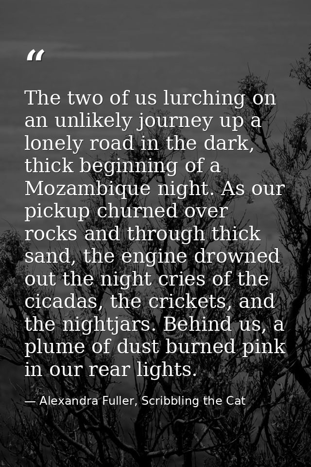 The two of us lurching on an unlikely journey up a lonely road in the dark, thick beginning of a Mozambique night. As ou — Alexandra Fuller, Scribbling the Cat