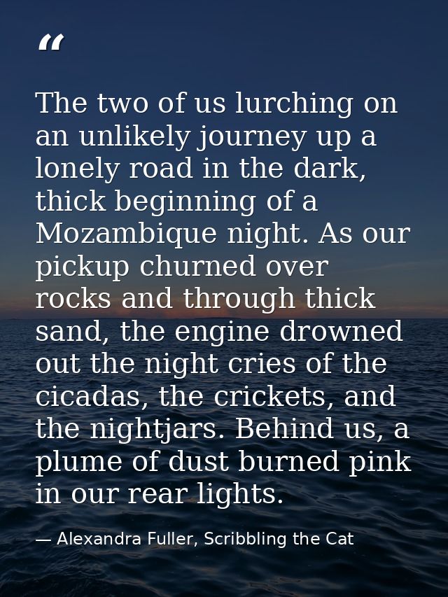 The two of us lurching on an unlikely journey up a lonely road in the dark, thick beginning of a Mozambique night. As ou — Alexandra Fuller, Scribbling the Cat