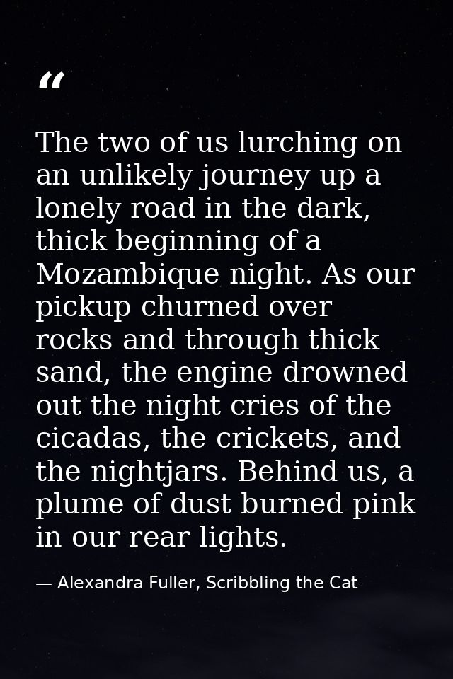 The two of us lurching on an unlikely journey up a lonely road in the dark, thick beginning of a Mozambique night. As ou — Alexandra Fuller, Scribbling the Cat