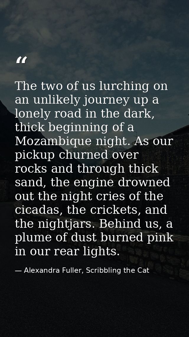 The two of us lurching on an unlikely journey up a lonely road in the dark, thick beginning of a Mozambique night. As ou — Alexandra Fuller, Scribbling the Cat