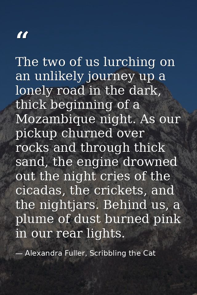 The two of us lurching on an unlikely journey up a lonely road in the dark, thick beginning of a Mozambique night. As ou — Alexandra Fuller, Scribbling the Cat