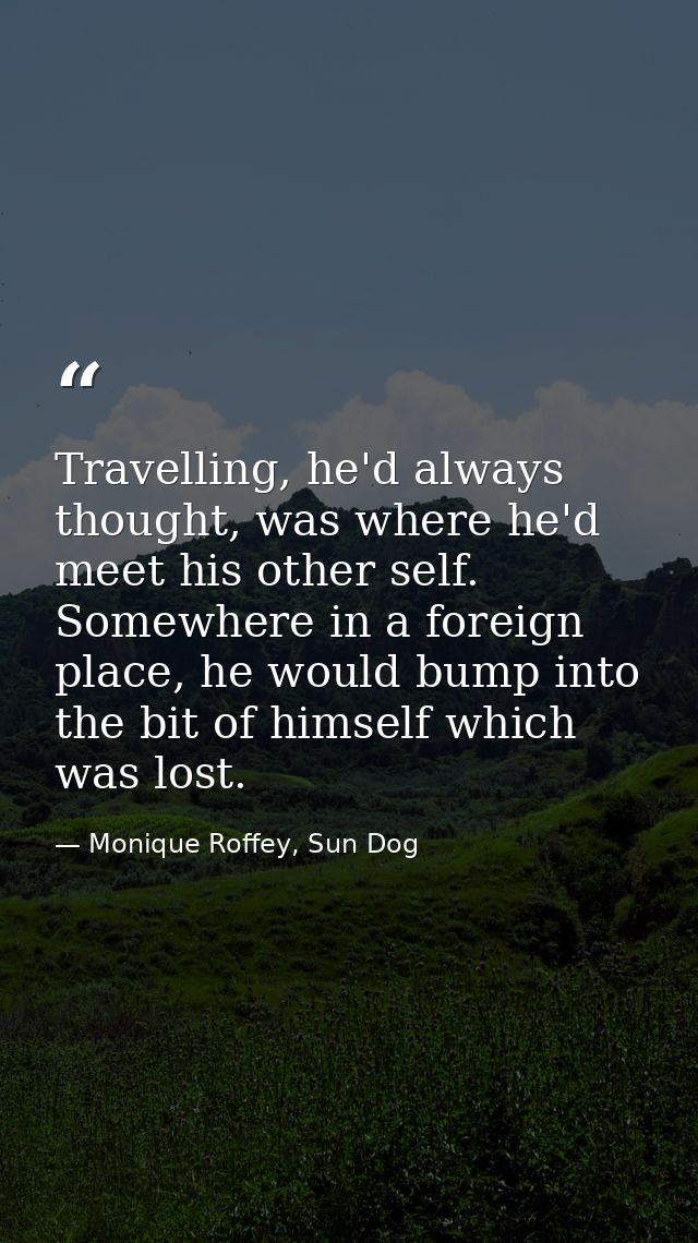 Travelling, he'd always thought, was where he'd meet his other self. Somewhere in a foreign place, he would bump into th — Monique Roffey, Sun Dog