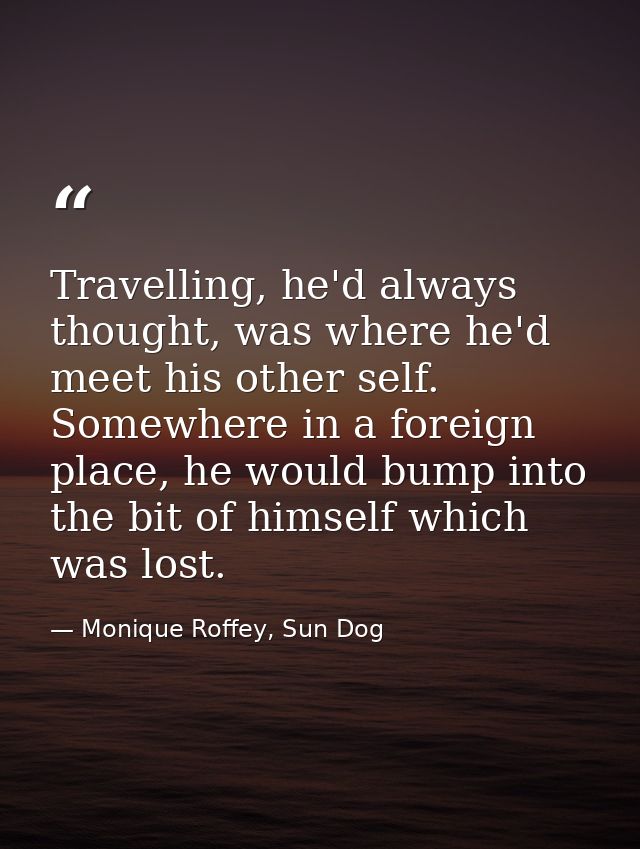 Travelling, he'd always thought, was where he'd meet his other self. Somewhere in a foreign place, he would bump into th — Monique Roffey, Sun Dog
