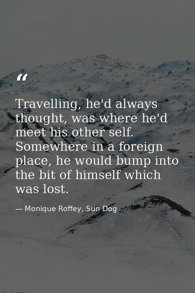 Travelling, he'd always thought, was where he'd meet his other self. Somewhere in a foreign place, he would bump into th — Monique Roffey, Sun Dog