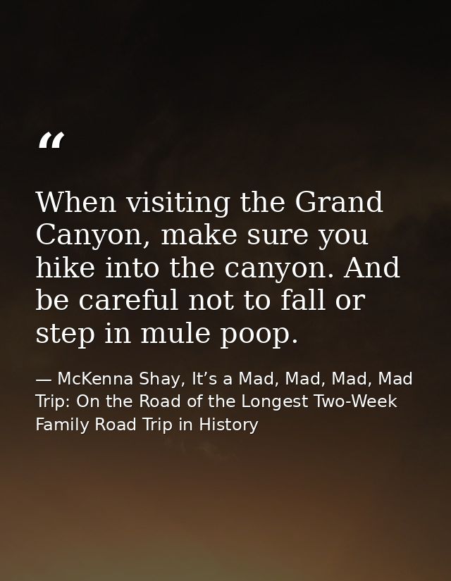 When visiting the Grand Canyon, make sure you hike into the canyon. And be careful not to fall or step in mule poop. — McKenna Shay, It’s a Mad, Mad, Mad, Mad Trip: On the Road of the Longest Two-Week Family Road Trip in History