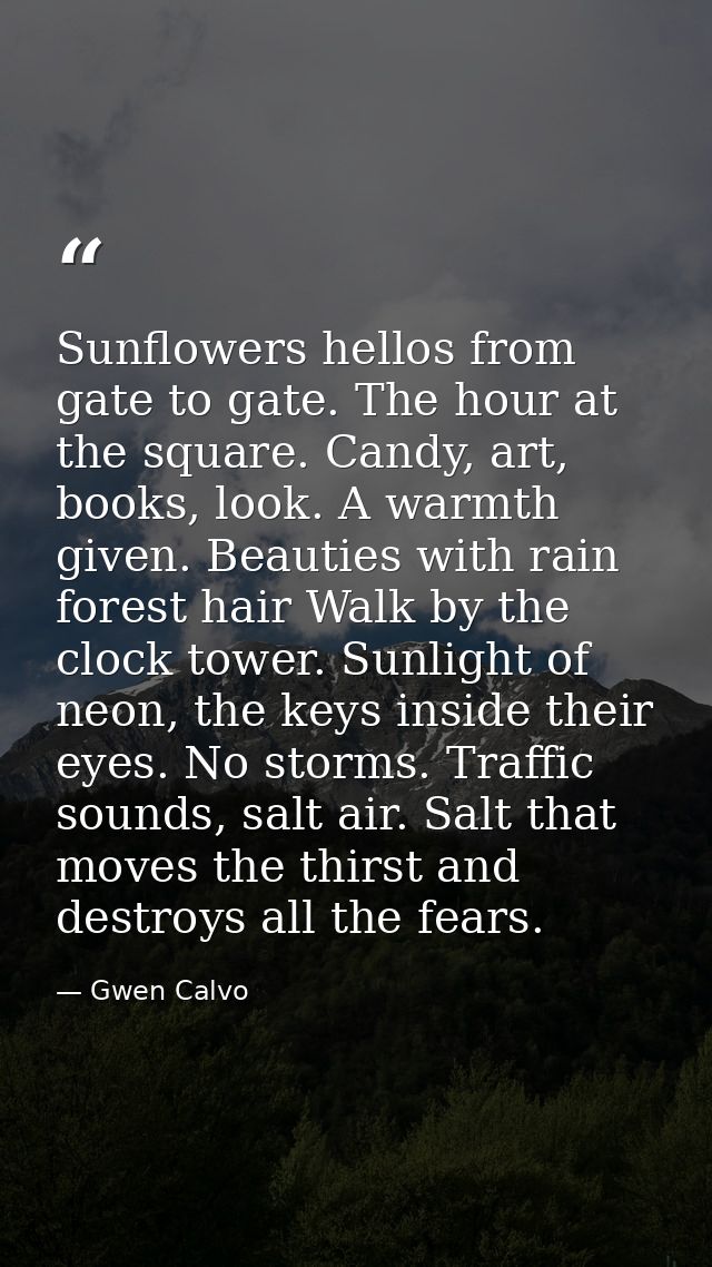 Sunflowers hellos from gate to gate. The hour at the square. Candy, art, books, look. A warmth given. Beauties with rain — Gwen Calvo
