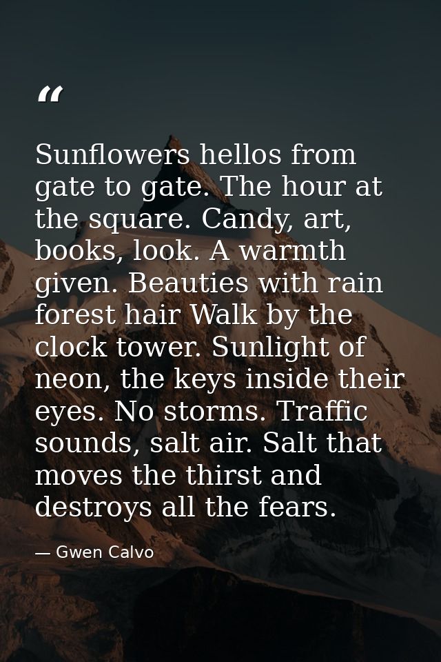Sunflowers hellos from gate to gate. The hour at the square. Candy, art, books, look. A warmth given. Beauties with rain — Gwen Calvo