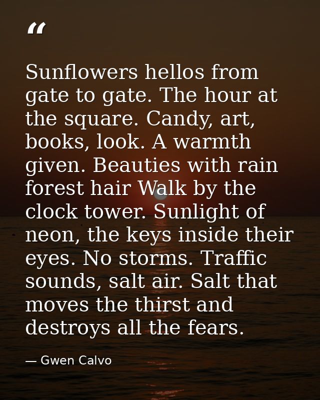 Sunflowers hellos from gate to gate. The hour at the square. Candy, art, books, look. A warmth given. Beauties with rain — Gwen Calvo