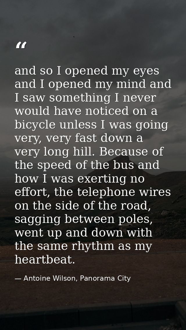 and so I opened my eyes and I opened my mind and I saw something I never would have noticed on a bicycle unless I was go — Antoine Wilson, Panorama City