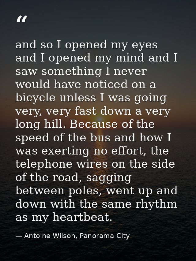 and so I opened my eyes and I opened my mind and I saw something I never would have noticed on a bicycle unless I was go — Antoine Wilson, Panorama City