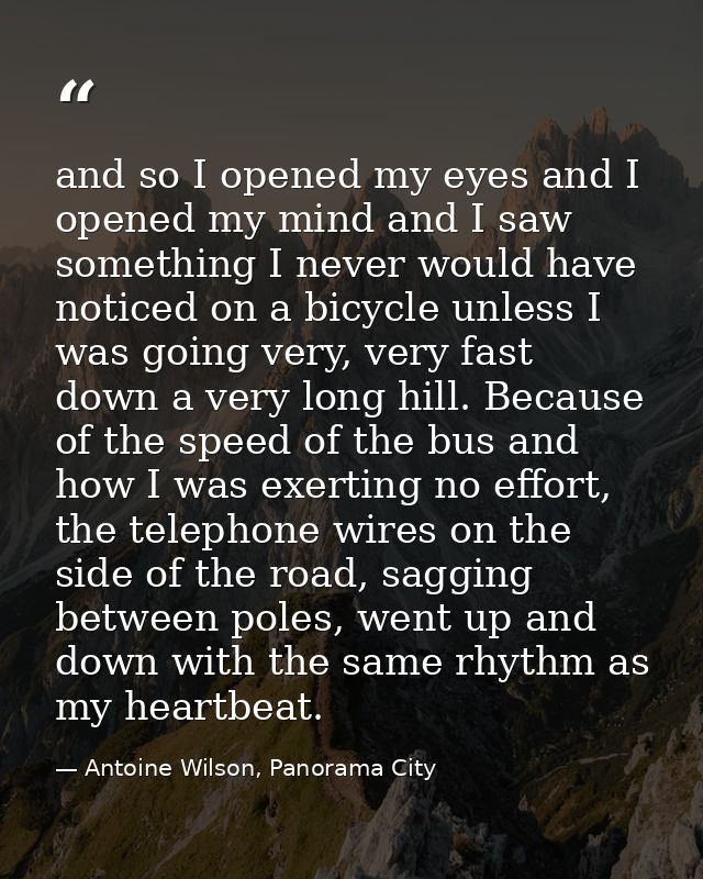 and so I opened my eyes and I opened my mind and I saw something I never would have noticed on a bicycle unless I was go — Antoine Wilson, Panorama City