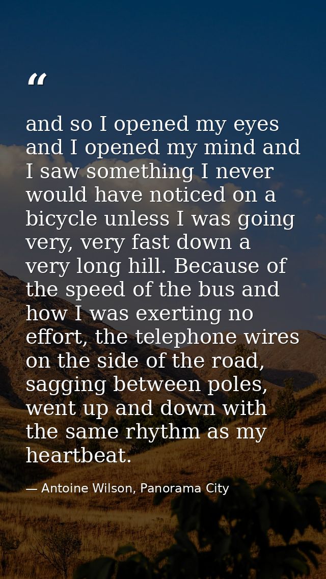 and so I opened my eyes and I opened my mind and I saw something I never would have noticed on a bicycle unless I was go — Antoine Wilson, Panorama City