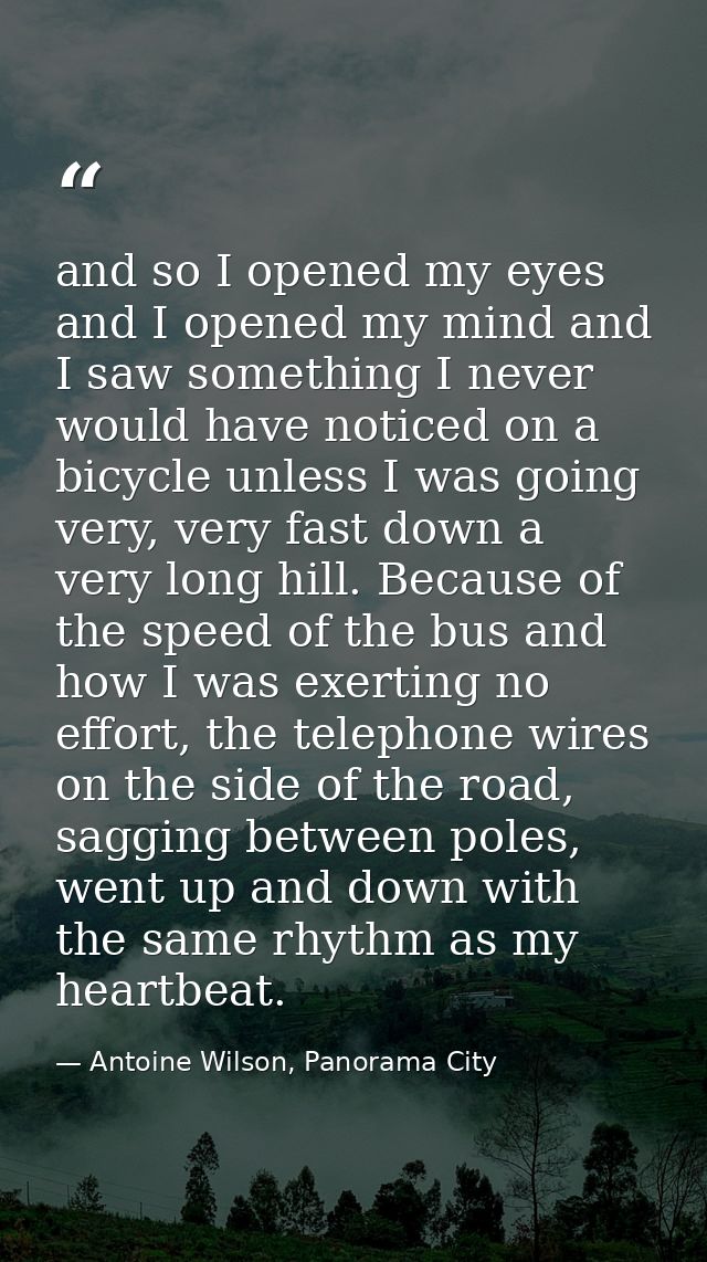 and so I opened my eyes and I opened my mind and I saw something I never would have noticed on a bicycle unless I was go — Antoine Wilson, Panorama City