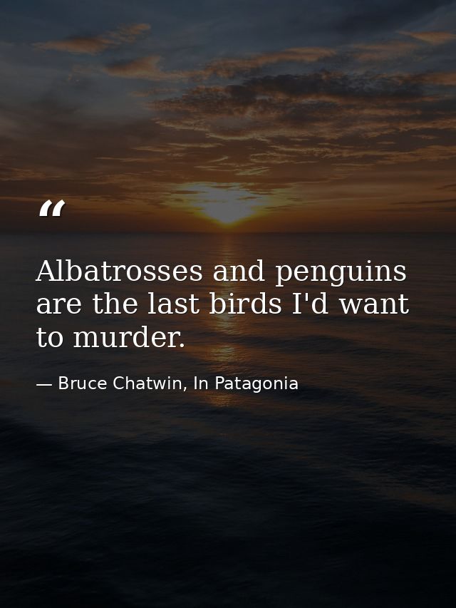 Albatrosses and penguins are the last birds I'd want to murder. — Bruce Chatwin, In Patagonia