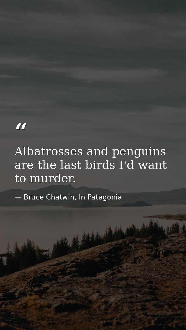 Albatrosses and penguins are the last birds I'd want to murder. — Bruce Chatwin, In Patagonia