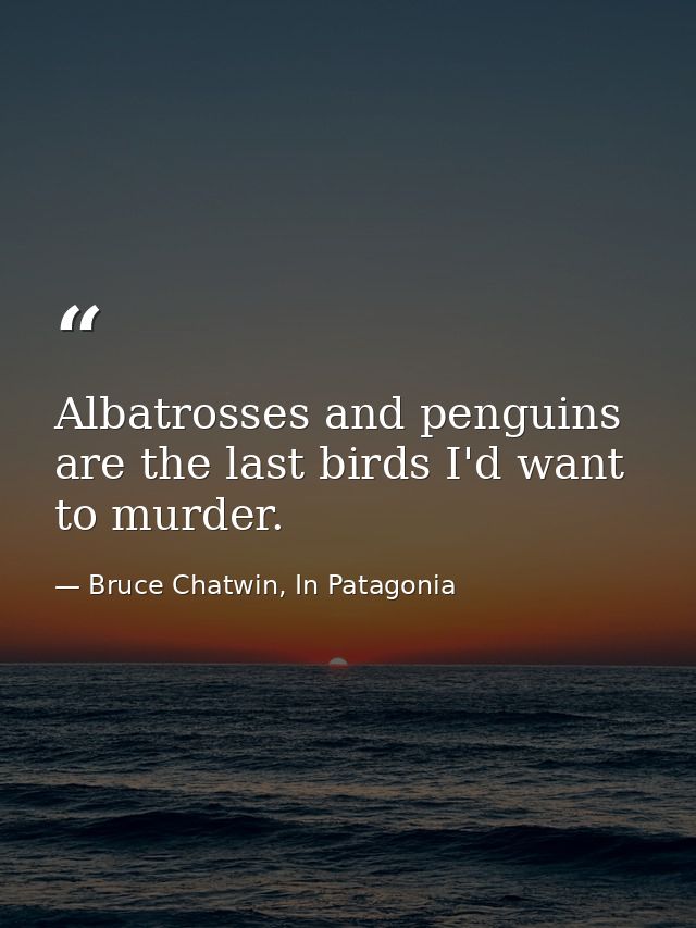 Albatrosses and penguins are the last birds I'd want to murder. — Bruce Chatwin, In Patagonia