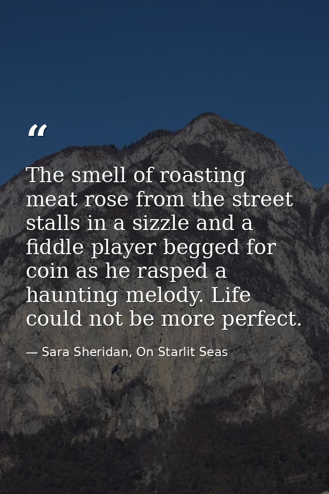 The smell of roasting meat rose from the street stalls in a sizzle and a fiddle player begged for coin as he rasped a ha — Sara Sheridan, On Starlit Seas