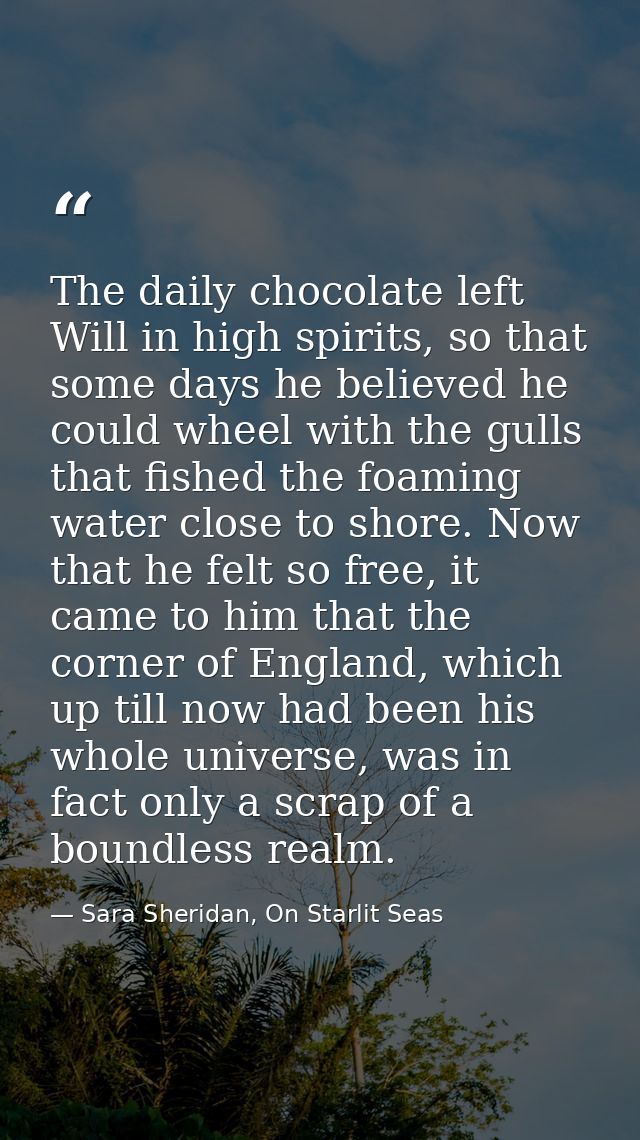 The daily chocolate left Will in high spirits, so that some days he believed he could wheel with the gulls that fished t — Sara Sheridan, On Starlit Seas