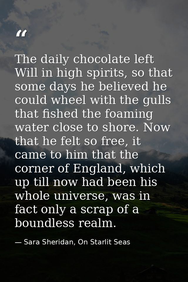 The daily chocolate left Will in high spirits, so that some days he believed he could wheel with the gulls that fished t — Sara Sheridan, On Starlit Seas