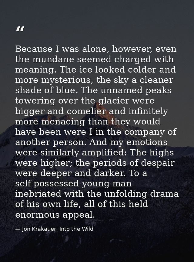 Because I was alone, however, even the mundane seemed charged with meaning. The ice looked colder and more mysterious, t — Jon Krakauer, Into the Wild