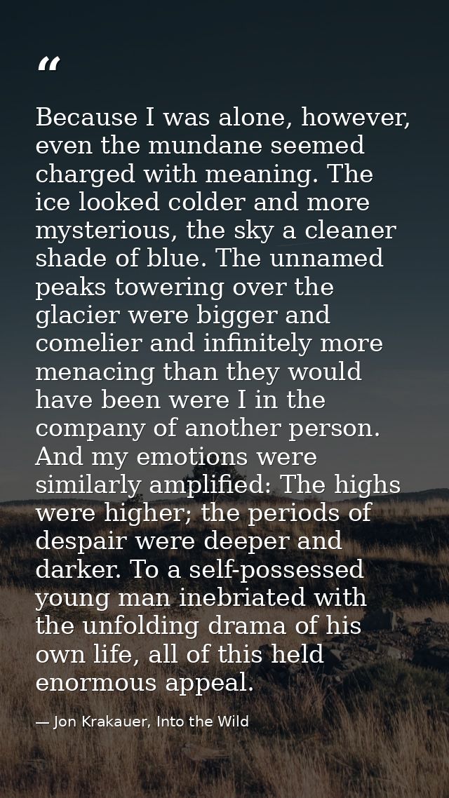 Because I was alone, however, even the mundane seemed charged with meaning. The ice looked colder and more mysterious, t — Jon Krakauer, Into the Wild