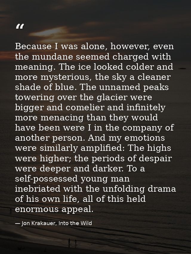 Because I was alone, however, even the mundane seemed charged with meaning. The ice looked colder and more mysterious, t — Jon Krakauer, Into the Wild