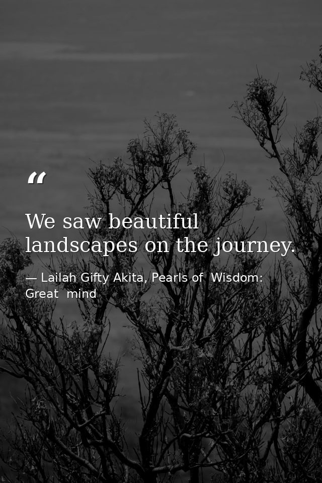 We saw beautiful landscapes on the journey. — Lailah Gifty Akita, Pearls of  Wisdom: Great  mind