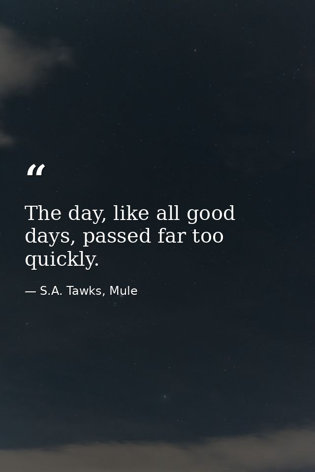 The day, like all good days, passed far too quickly. — S.A. Tawks, Mule