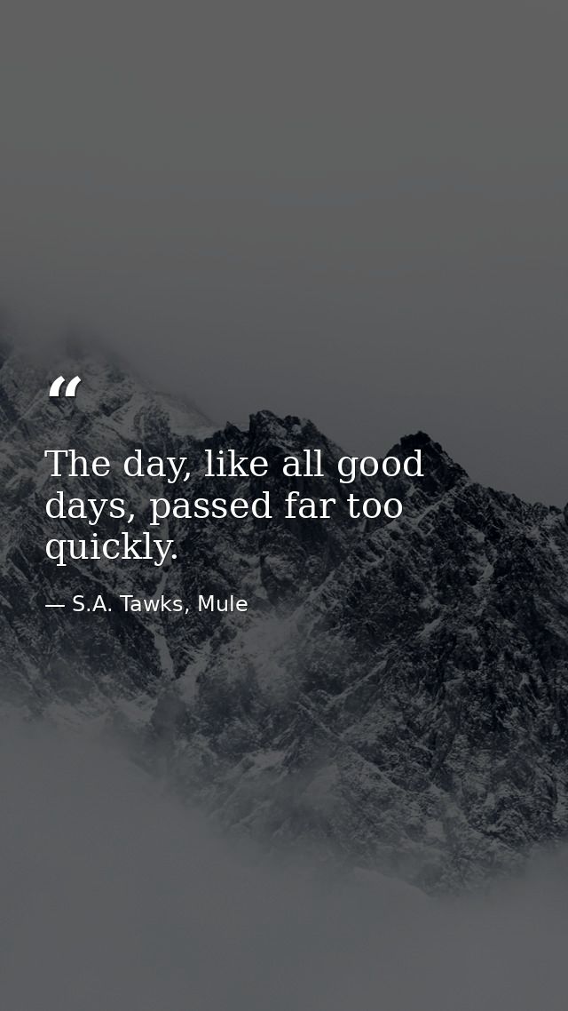 The day, like all good days, passed far too quickly. — S.A. Tawks, Mule