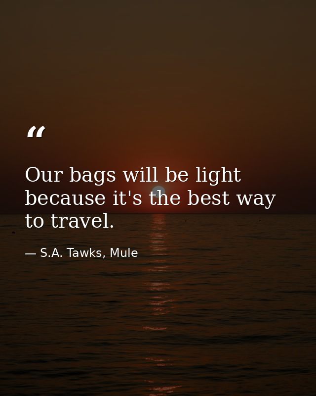 Our bags will be light because it's the best way to travel. — S.A. Tawks, Mule