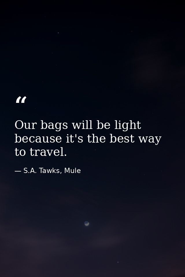 Our bags will be light because it's the best way to travel. — S.A. Tawks, Mule