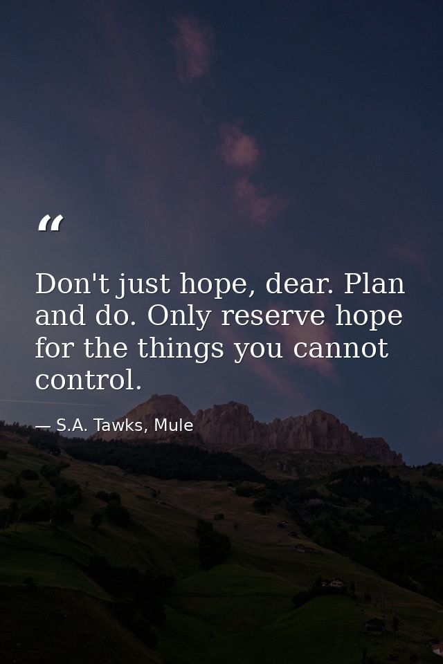 Don't just hope, dear. Plan and do. Only reserve hope for the things you cannot control. — S.A. Tawks, Mule